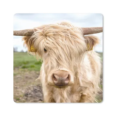 Produktbild von MuchoWow® Mauspad Mousepad Schottische Highlander - Licht - Landschaft 20x20 cm - Mousepads - Maus Mat - Pad - Mausunterlage - Desk Mat - Bureauartikeln
