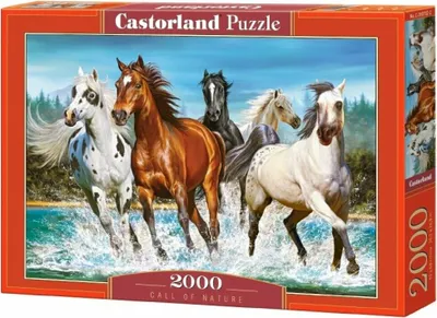 Immagine prodotto di Puzzle 2000 Call of Nature Castor