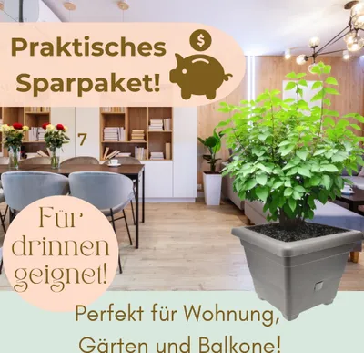 Produktbild von 2er Set Pflanzkübel Rechteckig Pflanzkübel Groß Außen Blumenkübel Outdoor Pflanztopf Pflanzkasten Blumentopf Wasserspeicher 25 cm Anthrazit