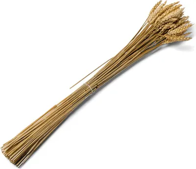 Productafbeelding van Decoratie van tarwearen, bruin, 25 stuks, 60 cm - universele maat