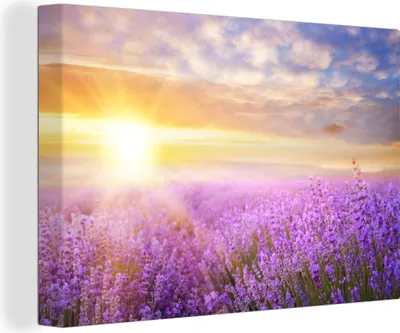Produktbild von MuchoWow® - Leinwandbilder - Lavendel - Sonne - Himmel - Natur, Wandbild, Wanddeko Bilder Wohnzimmer, 60x40 cm
