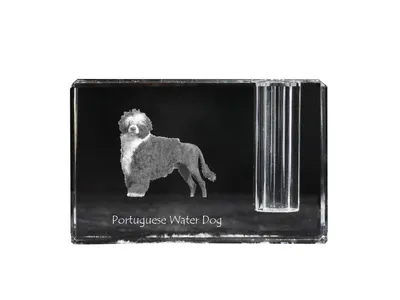 Produktbild von Portugiesischer Wasserhund - Stifthalter, Kristallorganizer mit Hundefoto, einzigartige Schreibtischdekoration der Marke Art-Dog