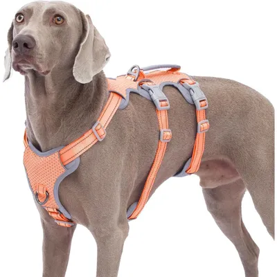 Image de Harnais de sécurité pour chien, anti-évasion, réfléchissant, avec poignée rembourrée, couleur orange, taille L
