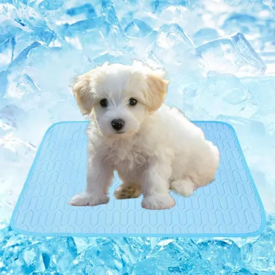 Image de Tapis rafraîchissant pour chiens et chats, gel réfrigérant, coussin de refroidissement d'été, lavable, bleu, 61 x 50 cm