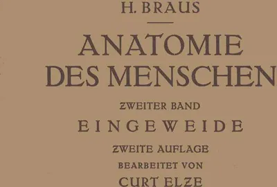 Produktbild von Anatomie des Menschen