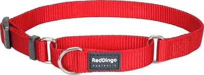 Immagine prodotto di Collare regolabile in nylon semi-retrattile Rosso dingo, Taglia: L