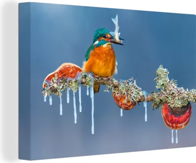 Obrázok produktu pre OneMillionCanvasses® - Obrazy na plátne - 140x90 cm, Rybárik - vetva - ryba, nástenné umenie Print Wall Decoration