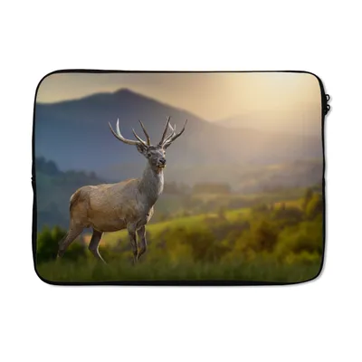 Produktbild von MuchoWow® Laptop Hülle 13 Zoll Hirsche - Berg - Gras - Sonnenuntergang - Tiere - Natur Laptoptasche - Laptophülle - Sleeve - Rundumschutz
