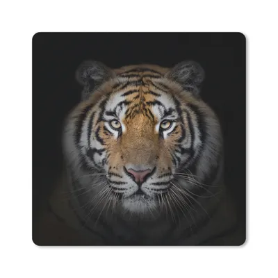 Produktbild von MuchoWow® Mauspad Mousepad Tiger - Wildtiere - Porträt - Schwarz - Tiere 20x20 cm - Mousepads - Maus Mat - Pad - Mausunterlage - Desk Mat - Bureauartikeln