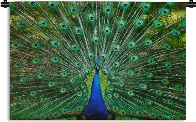 Produktbild von MuchoWow® Wandteppich Wandbehang Pfau - Tiere - Vogel 150x100 cm Tapisserie Dekoration Wandtuch - Waschbar - Tapisserien - Wand-Decke