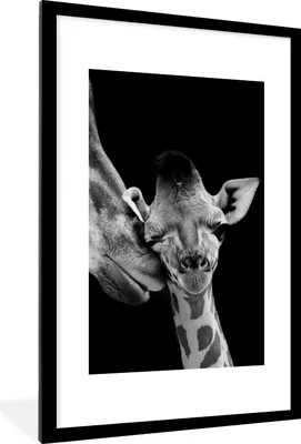 Produktbild von MuchoWow® Gerahmtes Poster Tiere - Schwarz - Weiß - Giraffe - Porträt 60x90 cm - Poster mit Schwarzem Bilderrahmen Wandposter Rahmen Foto Bilder - Dekoration - Wandposter Wohnzimmer - Hochwertig