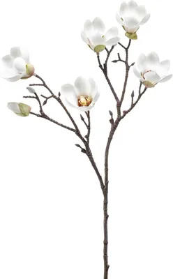 Produktbild von künstliche Magnolie Kirschblütenzweig weiß H. 65cm Emerald Kunstblumen