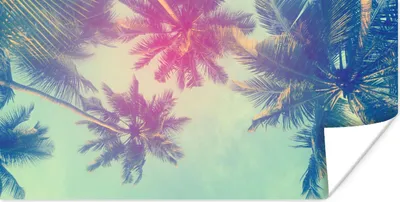 Produktbild von MuchoWow® Poster Palmen - Palmenblätter - Sommer - Tropisch 40x20 cm - Poster für die Wand - Poster Schlafzimmer