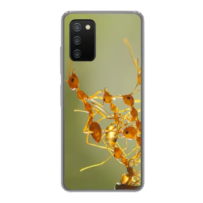 Produktbild von MuchoWow® Handyhülle Schutzhülle Hülle für Samsung Galaxy A03s Ameisen - Orange - Tiere Silikon Softcase Handy Hülle - Schutz