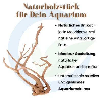 Produktbild von XL Aquariumwurzel 60-80 cm filigran verzweigt für Aquascaping und Naturaquarien