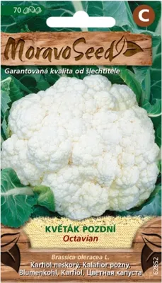 Immagine prodotto di Cavolfiore tardivo OCTAVIAN 62852