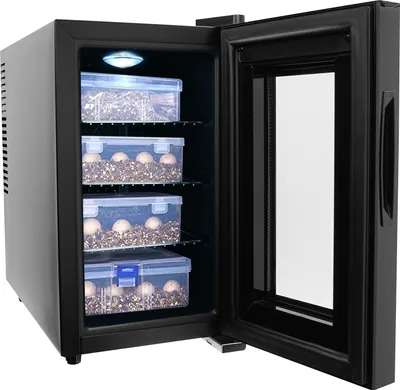 Image de Incubateur d'œufs de reptiles entièrement automatique 10-40°C avec réglage précis de la température