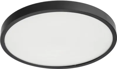 A circular LED ceiling light with a black rim and a white diffuser.