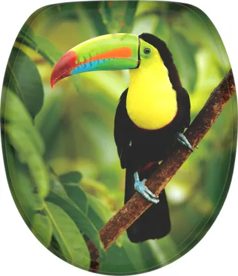 Produktbild von SANILO® WC-Sitz mit Absenkautomatik Toucan, Toilettendeckel direkt vom Hersteller, Klodeckel, Klobrille, WC Deckel, Toilettensitz, Toilettenbrille