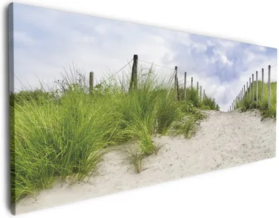 Produktbild von Wallario Premium Leinwandbild Auf dem Weg zum Strand durch Dünen in Größe 50 x 125 cm