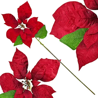 Productafbeelding van Kerstster 30 cm, rood, decoratieve ster, kerstdecoratie, raamdecoratie, hangdecoratie, adventsster, kerstboomversiering
