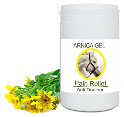 Produktbild von Konzentriertes Arnika-Gel, 1000 g