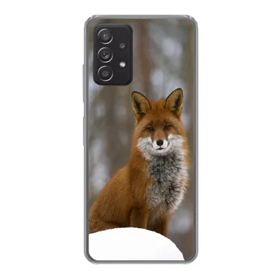 Produktbild von MuchoWow® Handyhülle Schutzhülle Hülle für Samsung galaxy a73 Fuchs - Wald - Rot Silikon Softcase Handy Hülle - Handyhülle