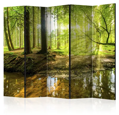 Produktbild von Muralo Beiseitig bedruckter PARAVENT 5-teilig Raumteiler klappbar WALDSEE SONNE 225cmx172cm