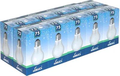 Produktbild von 10 x Leuci Glühbirne 75W E27 MATT Glühlampe 75 Watt Glühbirnen Glühlampen