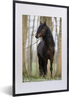 Produktbild von MuchoWow® Gerahmtes Poster Pferd - Braun - Wald 40x60 cm - Poster mit Schwarzem Bilderrahmen Wandposter Rahmen Foto Bilder - Poster in Rahmen