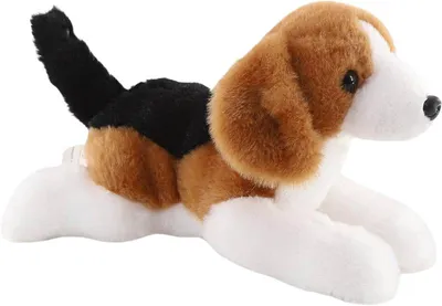 Immagine prodotto di Beagle, 26 cm