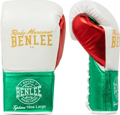 A pair of boxing gloves displayed against a white background.