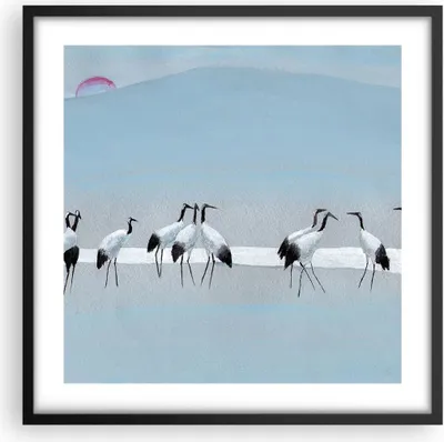 Produktbild von Gerahmtes Poster - Schwarzer Rahmen - Vögel Kraniche Natur - 50x50 cm - Wand Bild - Wanddeko - Wandbilder - Kunstposter - Wandposter - Bilderrahmen - Bilder - Kunstdruck - P2BAC50x50-4921