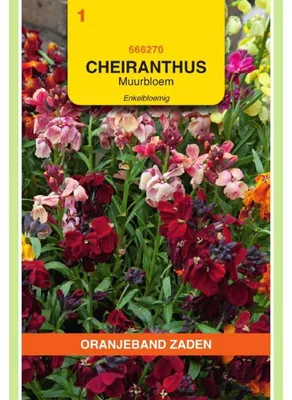 Imagen del producto de Semillas de Cheiranthus Cheirii (variedad naranja), mezcla sencilla - 1 paquete