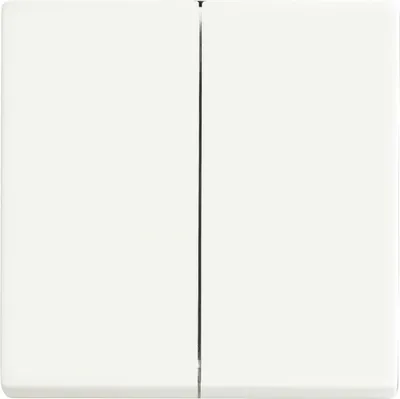 Produktbild von BUSCH JAEGER 1751-0-3024 - Tasten - Weiß - Kunststoff - 63 mm - 63 mm - 1 Stück(e)