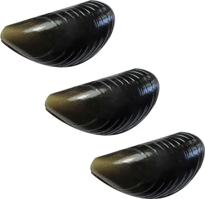 Produktbild von Angelköder für Karpfen künstliche Muscheln 2