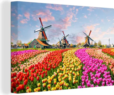 Produktbild von OneMillionCanvasses® - Leinwandbilder - 140x90 cm, Windmühle - Blumen - Zaanstad, Wandbilder Kunstdruck Wanddekoration