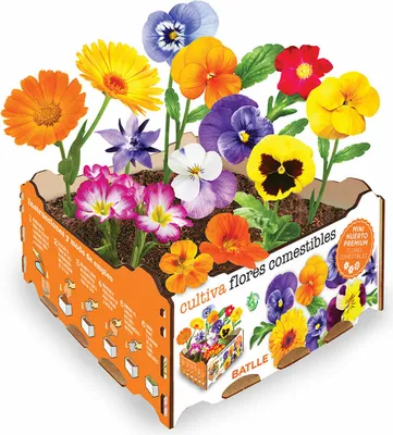 Immagine prodotto di Set di coltivazione Batlle Fiori Commestibili 19 x 19 x 10 cm