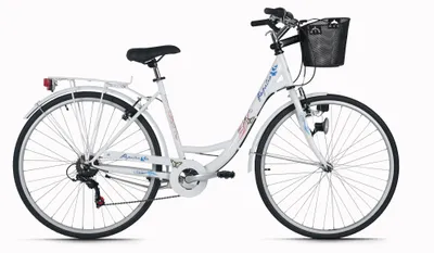 Produktbild von DaCapo DaCapo Citybike 28'' Papilio mit Korb RH 48 cm