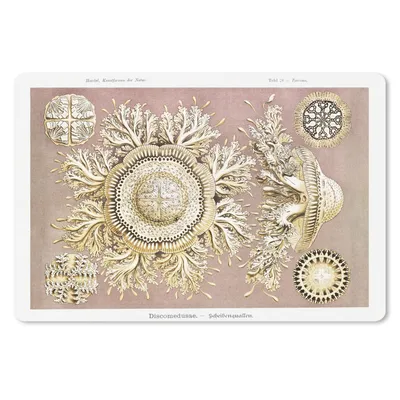 Produktbild von MuchoWow® Schreibtischunterlage Jahrgang - Ernst Haeckel - Qualle - Kunst 60x40 cm - XXL Mauspad - Großes Mauspad