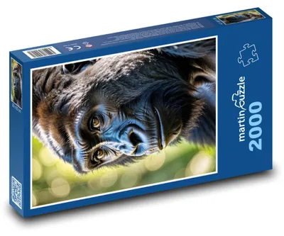 Obrázek produktu pro Puzzle 2000 Portrét černé gorily - martinpuzzle