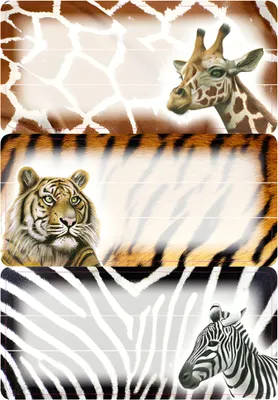 Produktbild von HERMA Buchetiketten "Afrikanische Tiere" 76 x 35 mm 3 Blatt à 3 Etiketten