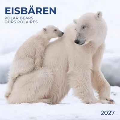 Produktbild von Wandkalender 2027 mit Eisbären Motiv, 30x30 cm, 12 Monate, inklusive Extra Poster