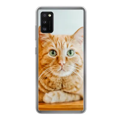Produktbild von MuchoWow® Handyhülle Schutzhülle Hülle für Samsung Galaxy A41 Katze - Holz - Schrank Silikon Softcase Handy Hülle - Mobiltelefon