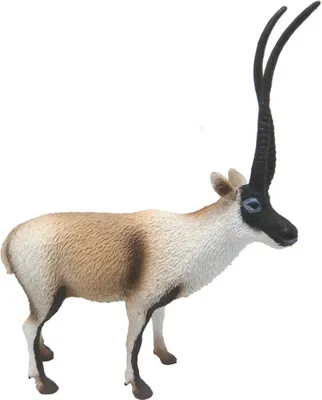 Immagine prodotto di COLLECTA Antilope tibetana - (L)