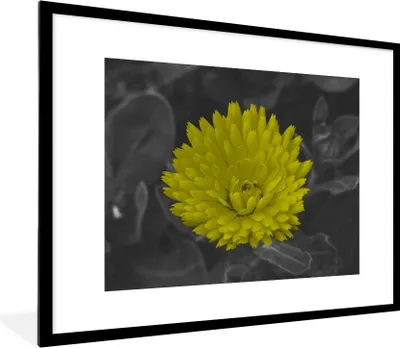 Produktbild von MuchoWow® Gerahmtes Poster Blumen - Aquarell - Löwenzahn 80x60 cm - Poster mit Schwarzem Bilderrahmen Wandposter Rahmen Foto Bilder - Schlafzimmer-Dekorationen - Fotoposter