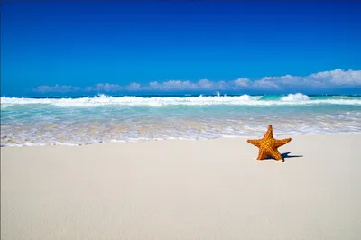 Produktbild von Muralo Fototapete Strand 180 (B) x 120 (H) cm Vlies Tapete Wandtapete Meer Sand Himmel Wohnzimmer Schlafzimmer moderne Wandbilder XXL Natur Panorama Wasser Wand Dekoration