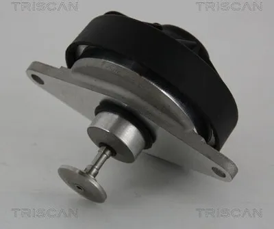 Produktbild von TRISCAN 8813 24202 AGR-Ventil mit Dichtungen für OPEL VECTRA B Caravan (31) Abgasrückführungsventil