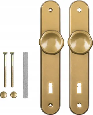 A set of door hardware, including two door handles with keyhole plates, two screws, and two small circular caps, laid out on a white background.