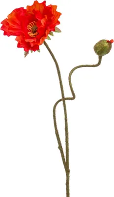 Produktbild von artplants.de Kunst Mohnblume HASNA, rot, 75cm - Kunstblume Mohn